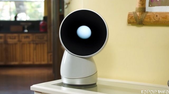 Jibo Jibo