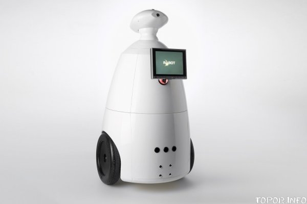 R.bot R.bot