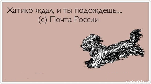 Хатико ждал и ты подождёшь!
