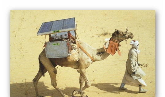 The Camel Fridge Project