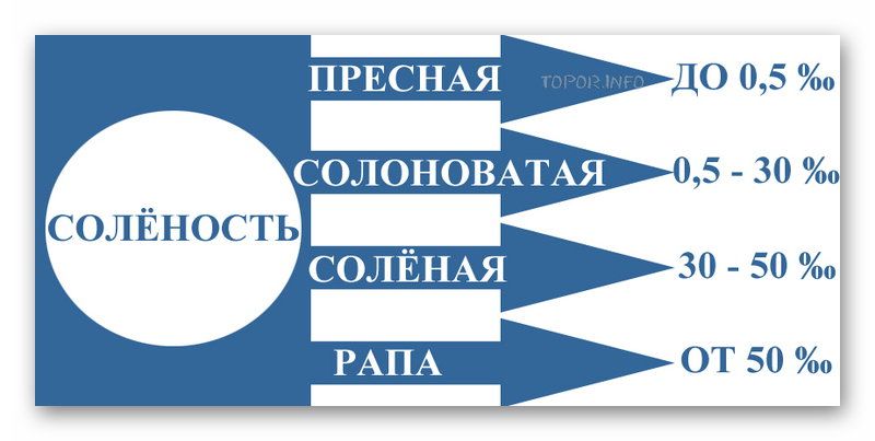Разная солёность воды