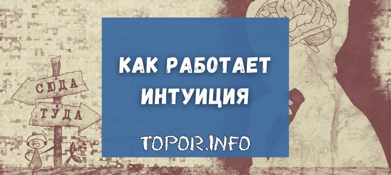Интуиция простыми словами