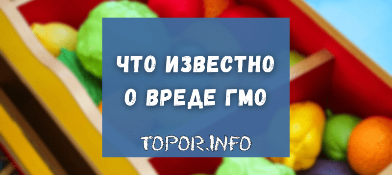 Что известно о вреде ГМО