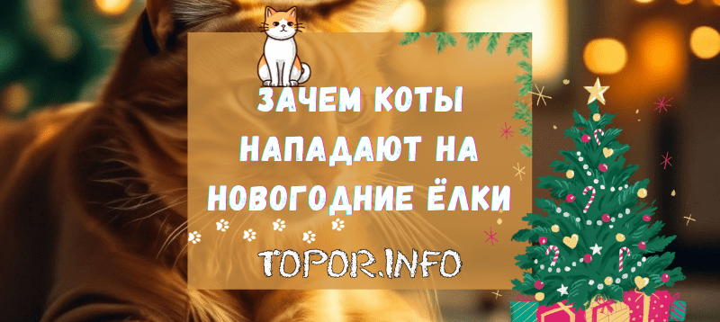 Почему коты роняют ёлку
