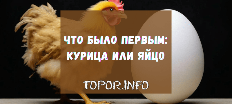 Курица или яйцо